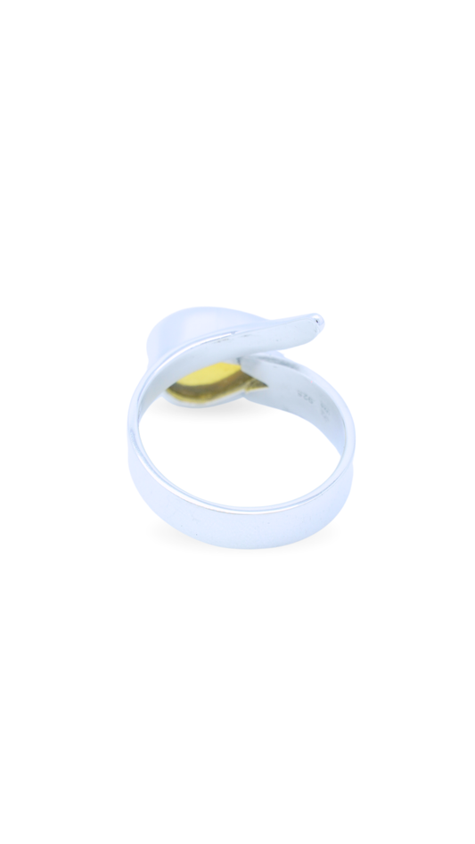 Anillo Inicio