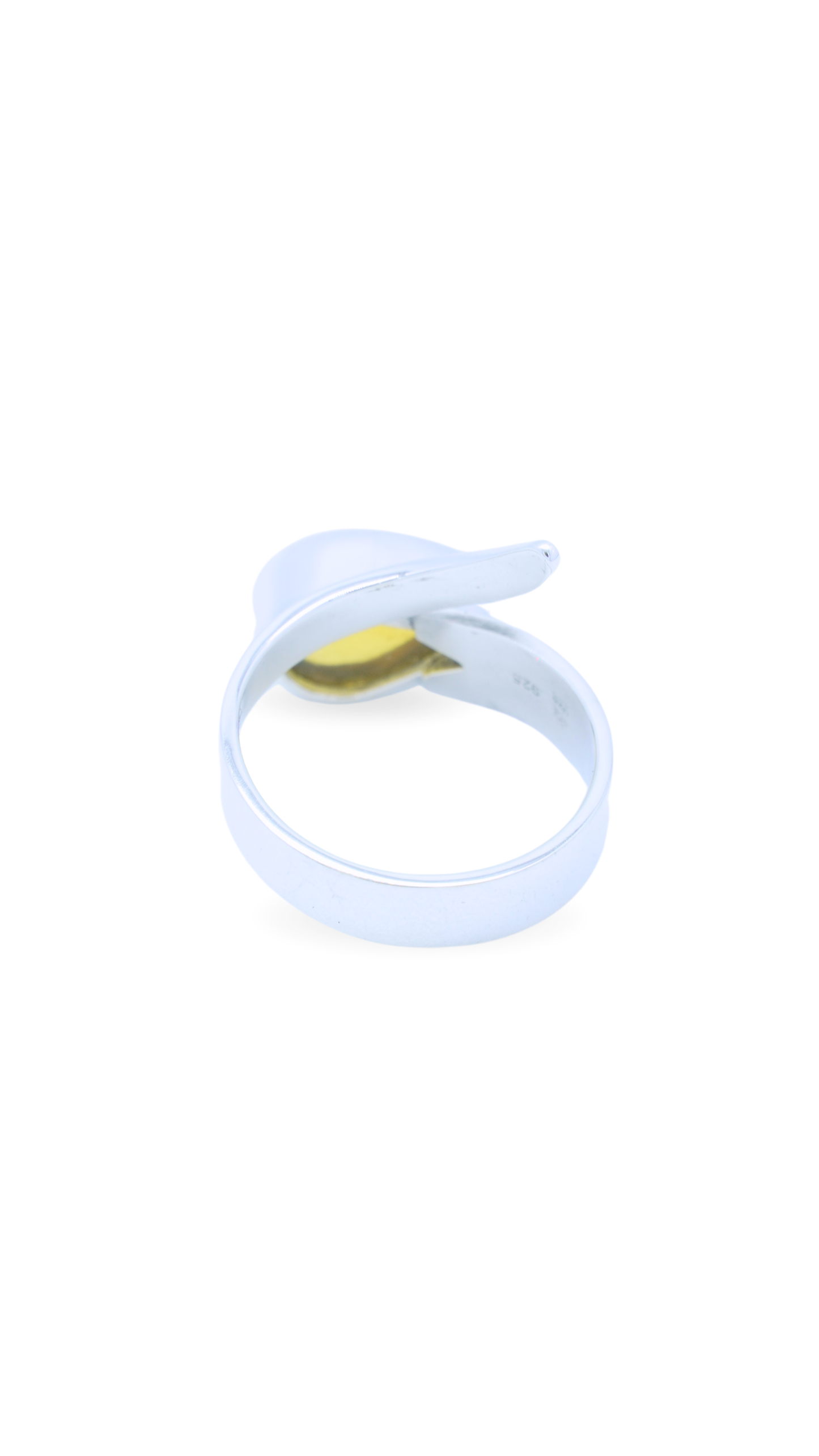 Anillo Inicio