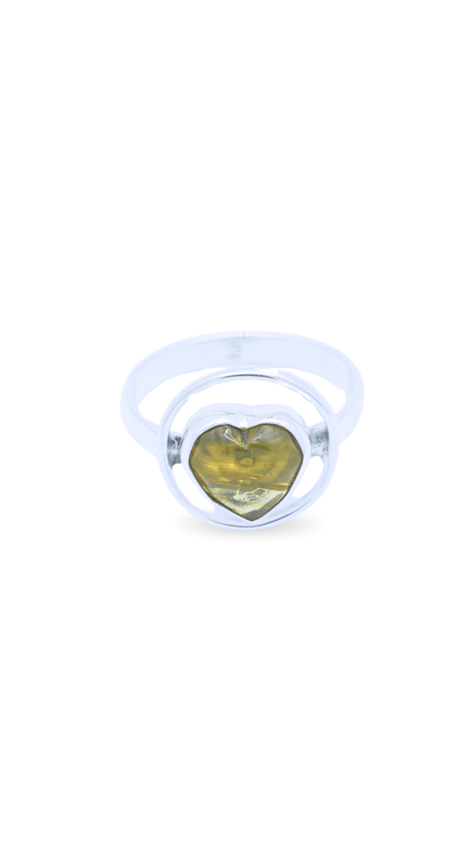 Anillo Amorio