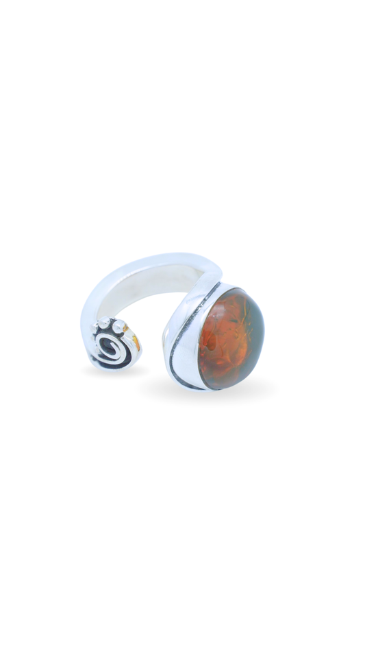 Anillo Caminos