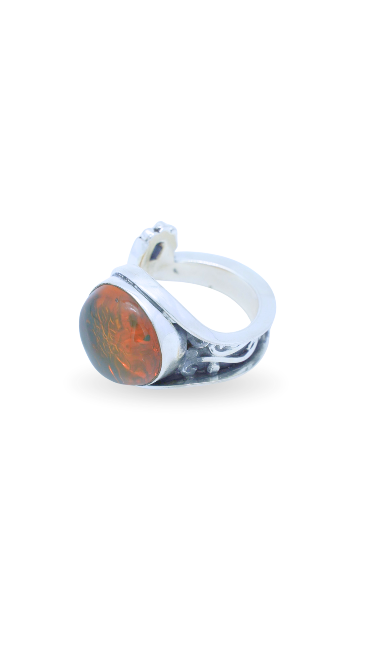 Anillo Caminos