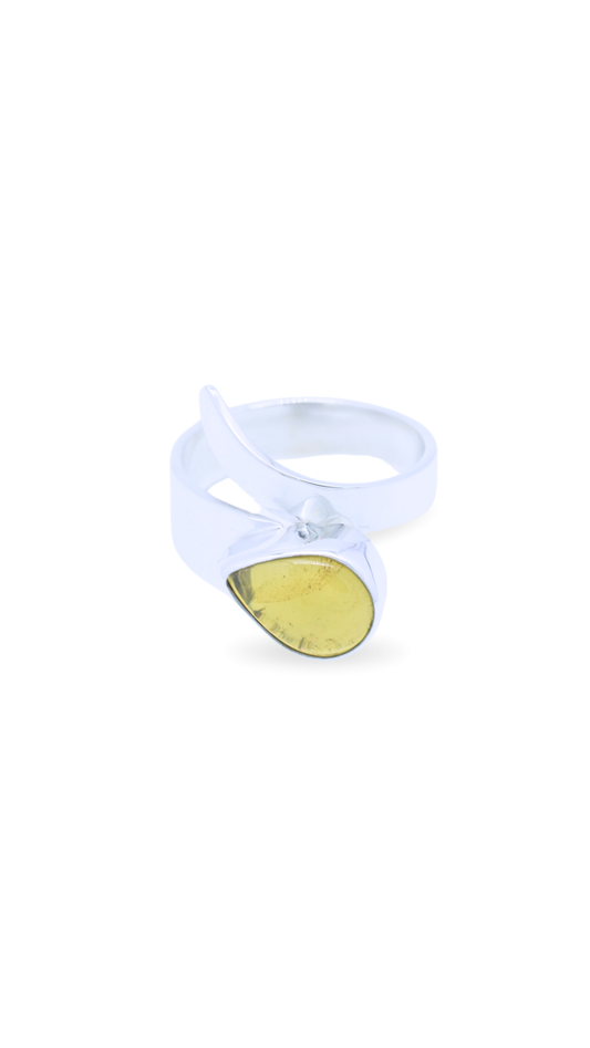 Anillo Inicio