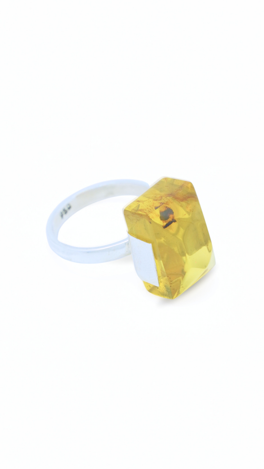 Anillo Real